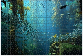 1000 Piece Jigsaw Puzzle Game, Colorful kelp Forest Views from Below Large Puzzles Artwork for Adults Teens Challenging Puzzle Game Nights Toy Gift