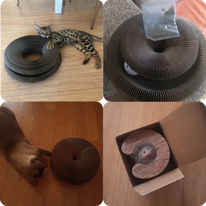 Adjustable Scratching Post