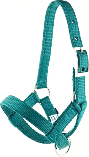 Alpaca Halter, S M L, Made in USA, Lead, Fence Tie, 24 Patterns, Figure 8, Small, Medium, Large, Livestock (Neon Lime Green, Small)