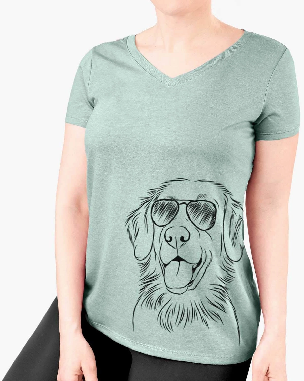 Aviator Raisin The Flat-Coated Retriever Dog Triblend T-Shirt