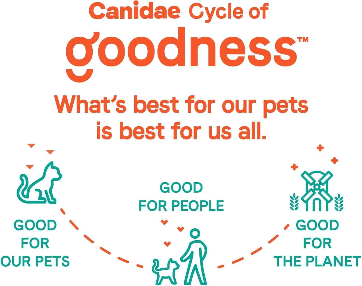 Canidae Goodness for Skin and Coat, Premium Adult Dry Cat Food with Real Salmon, 5 lbs.