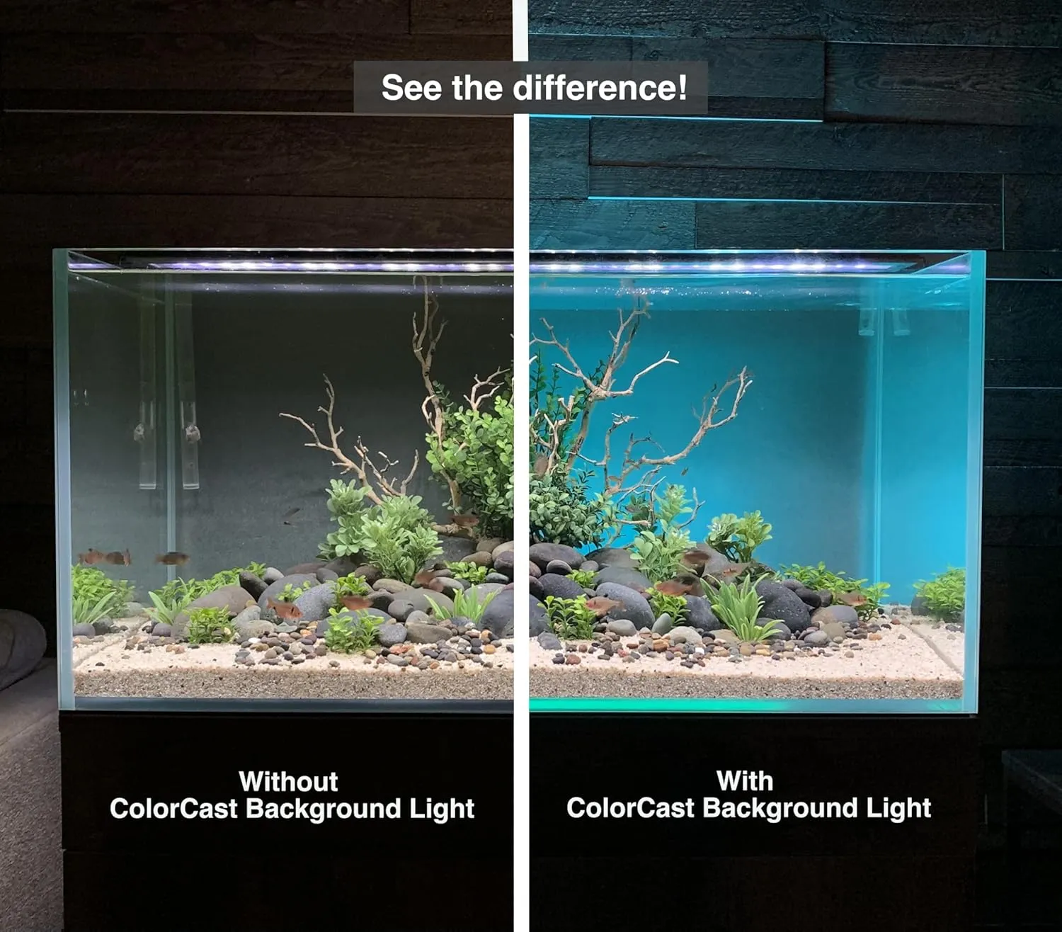 ColorCast Aquarium Background LED Light Kit with Frosted Background Film | Smartphone and Voice Control | 24/7 Timers | Alexa and Google Home | for Aquariums, Terrariums and Vivariums | 32"-48"