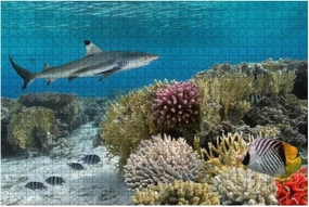 Colorful underwater coral reef with yellow stripped fish and big shark 500 Piece Jigsaw Puzzle Game - Colorful Large Puzzles Artwork for Adults Teens Puzzle Game Toy Gift