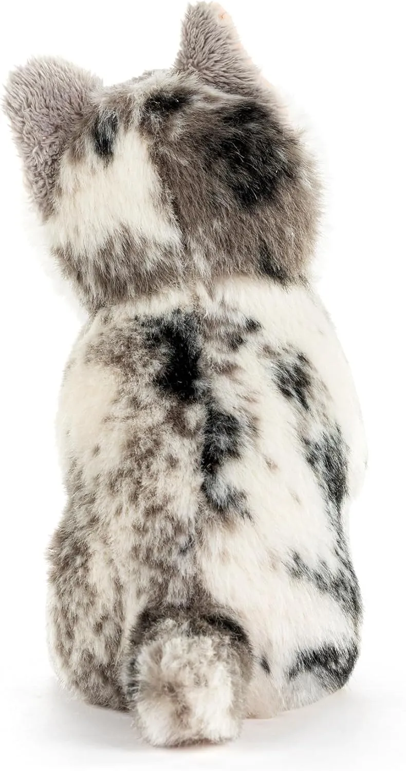 DEMDACO 5004810079 Animalcraft Maine Coon Cat Grey and White 6.5 x 6 Inch Polyester Soft Plush Stuffed Beanbag Animal