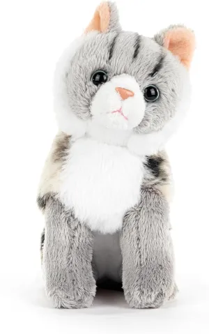 DEMDACO 5004810079 Animalcraft Maine Coon Cat Grey and White 6.5 x 6 Inch Polyester Soft Plush Stuffed Beanbag Animal