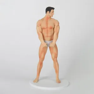 Ecchi Figure 1/6 Scale The Male,Waifu Hentaii.Sexy Anime  18 Uncensored Collection Gift Model Toys No Box