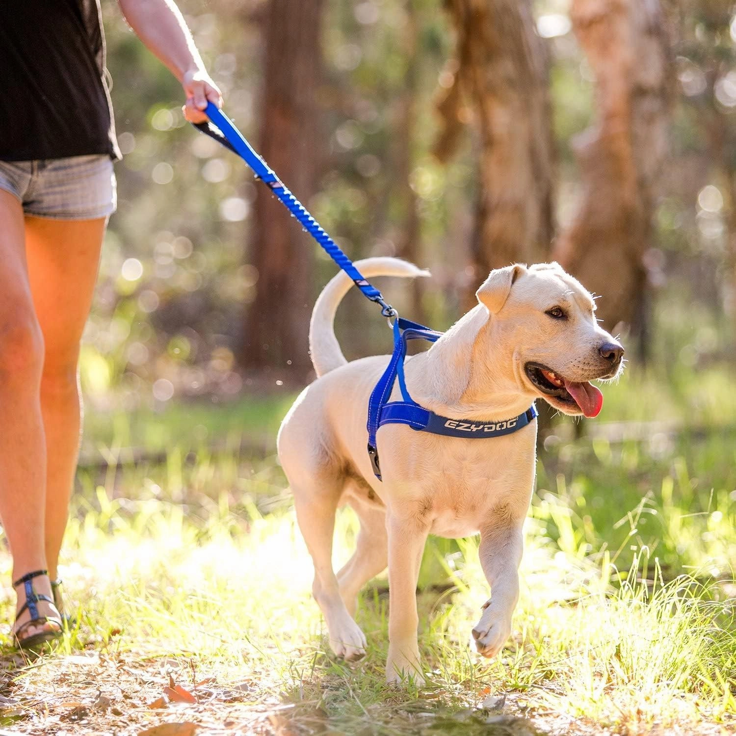 EzyDog Zero Shock Dog Leash - Shock Absorbing Bungee Leash for Dogs That Pull or Excite - Dual Handle and Reflective for Large, Medium, or Small Dogs (48-Inch, Purple)