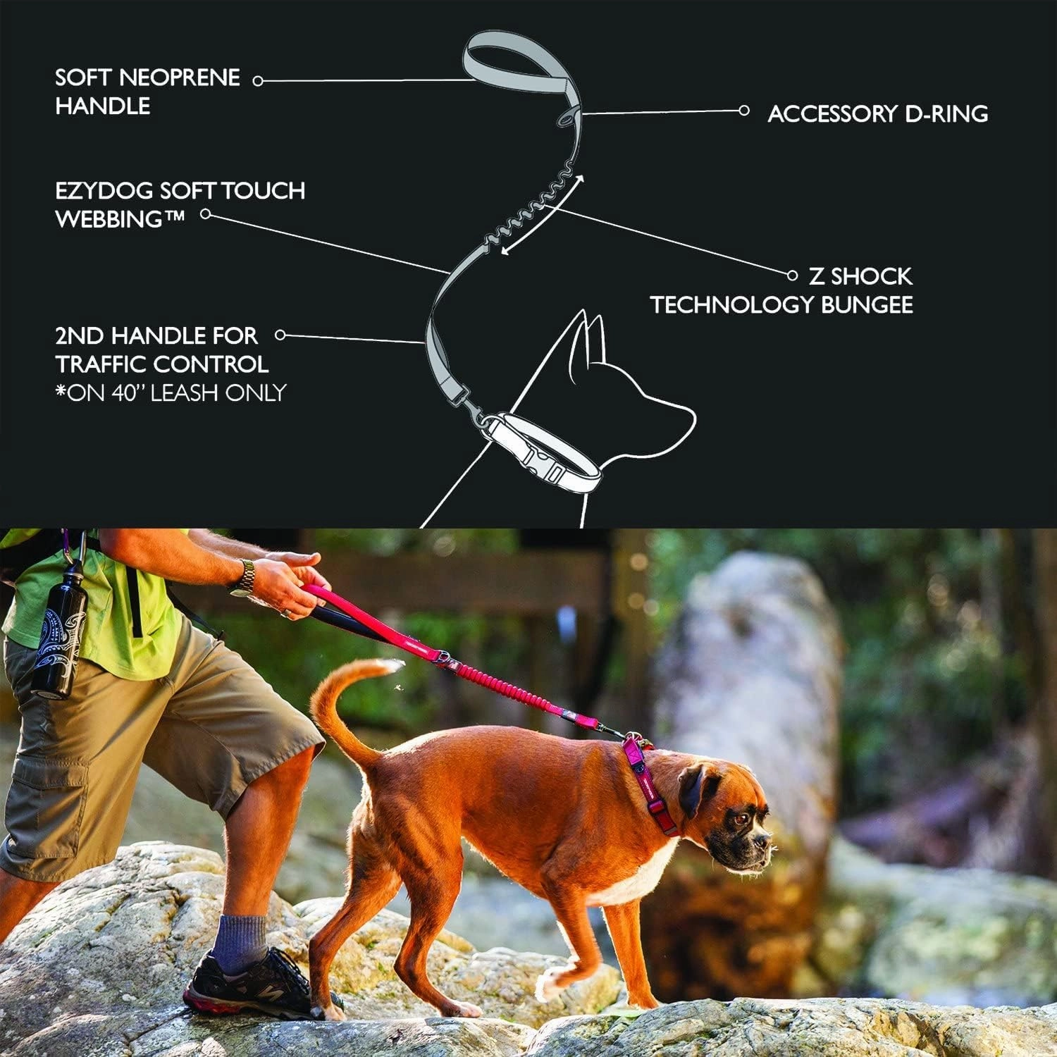 EzyDog Zero Shock Dog Leash - Shock Absorbing Bungee Leash for Dogs That Pull or Excite - Dual Handle and Reflective for Large, Medium, or Small Dogs (48-Inch, Purple)