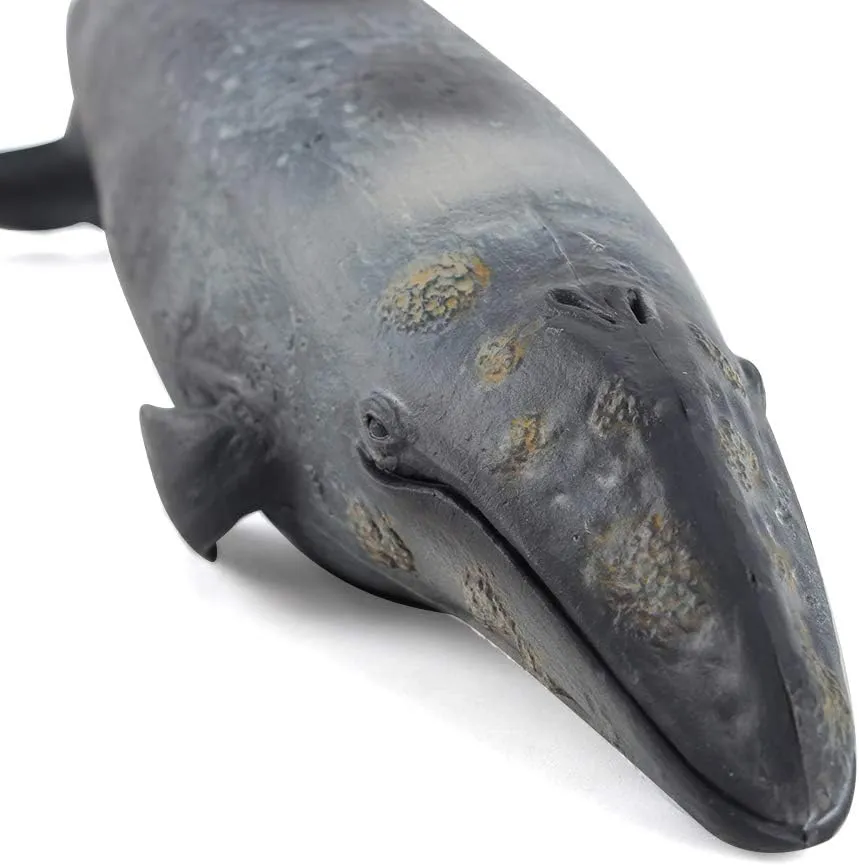 Fantarea Whales Animal Model Figures Toy Classroom Educational Decoration Statues Home Decor Party Favors Toys for Kid Boys Girls
