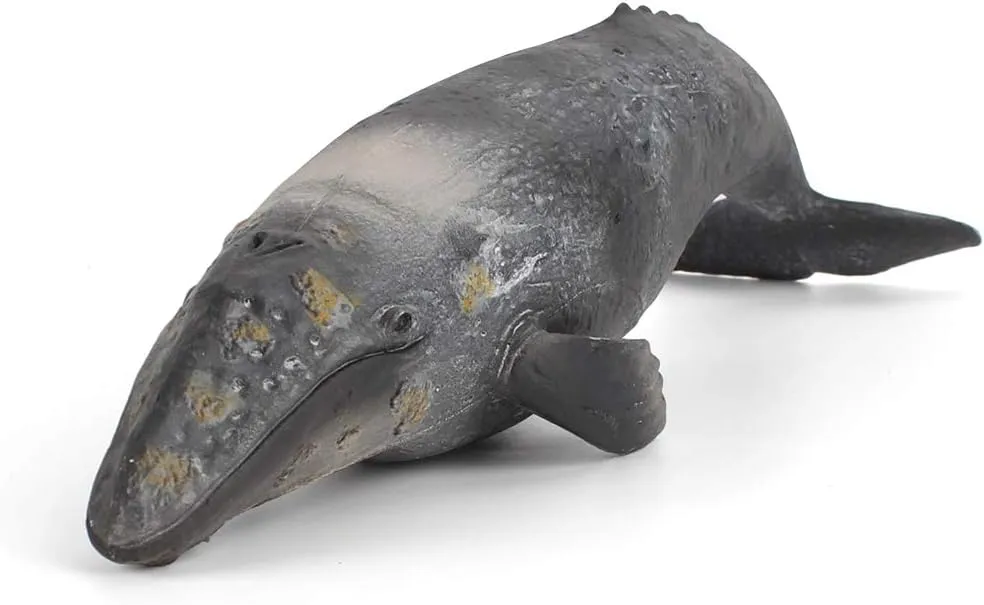 Fantarea Whales Animal Model Figures Toy Classroom Educational Decoration Statues Home Decor Party Favors Toys for Kid Boys Girls