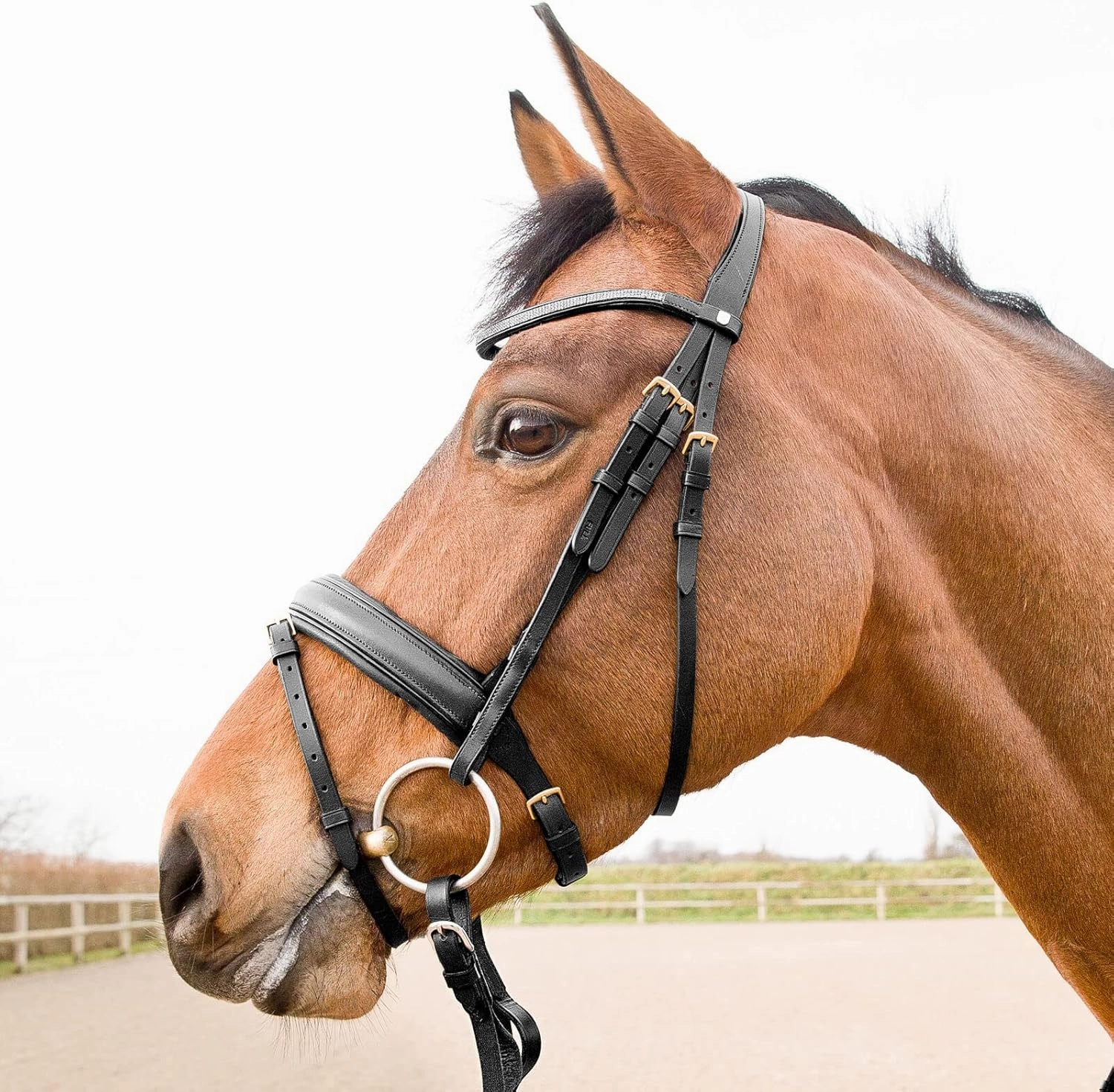 HORZE Soft Elastic Horse Rein-Aid Inserts | Rein Extensions to Improve Horseback Riding Contact