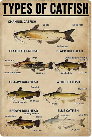 Jigsaw Puzzles 1000 Pieces Catfish Knowledge Metal Poster Types of Catfish Educational Puzzle Family Game Gift for Adults and Kids Perfect for Family or Dat Home Decoration Colorful Puzzle