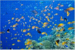 Jigsaw Puzzles 1000 Pieces for Adults Kids - Colorful Tropical School Fish Maldives Large Puzzles Pieces Fit Together Educational Intellectual Fun Game