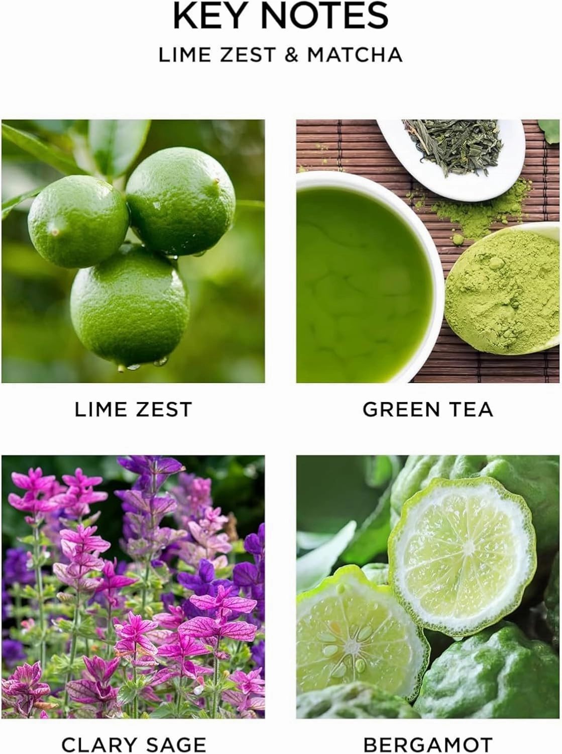NEST New York Smart Home Fragrance Diffuser Refill Smart Vials, Lime Zest & Matcha - Set of 2 - Designed for NEST x Pura 3 and NEST x Pura 4 Diffusers - Cruelty Free, Vegan - Made in USA