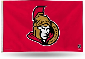 NHL 3-Foot by 5-Foot Single Sided Banner Flag with Grommets