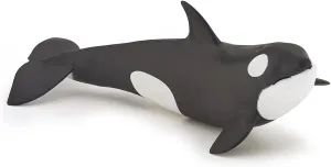 Papo - Hand-Painted - Figurine - Marine Life - Killer Whale Calf-56040 - Collectible - for Children - Suitable for Boys and Girls - from 3 Years Old