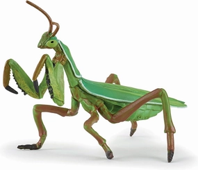 Papo -Hand-Painted - Figurine -Wild Animal Kingdom - Praying Mantis -50244 -Collectible - for Children - Suitable for Boys and Girls- from 3 Years Old
