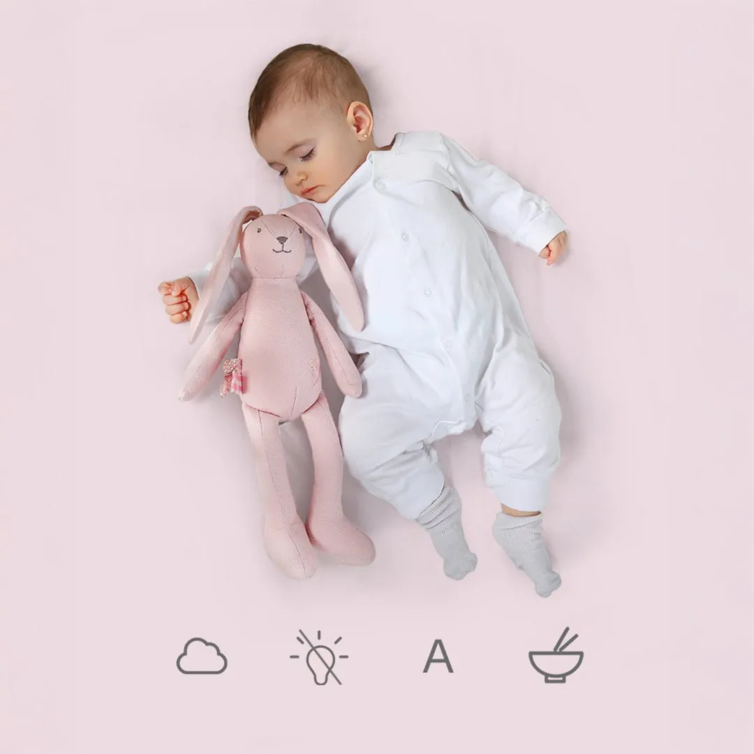 Personalized Bunny Soft Toy - Customizable & Cuddly