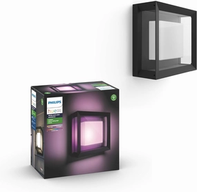 Philips Hue Econic Square Outdoor Smart Wall Light, Black - White and Color Ambiance LED Color-Changing Light - 1 Pack - Requires Hue Bridge - Control with Hue App and Voice - Weatherproof