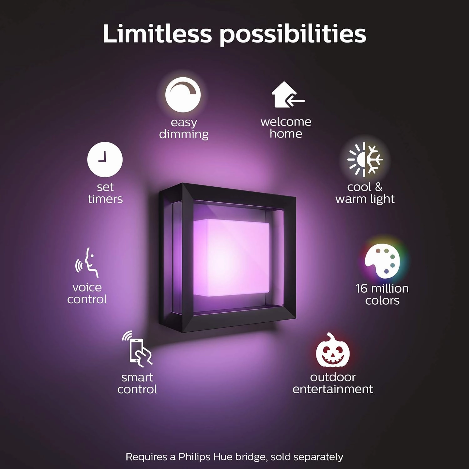 Philips Hue Econic Square Outdoor Smart Wall Light, Black - White and Color Ambiance LED Color-Changing Light - 1 Pack - Requires Hue Bridge - Control with Hue App and Voice - Weatherproof