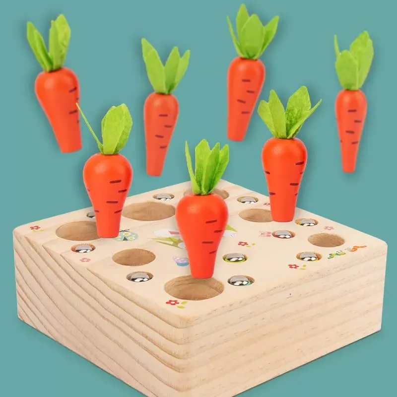 Pull Out Raddish Magnetic Insect Catching Game for Kids