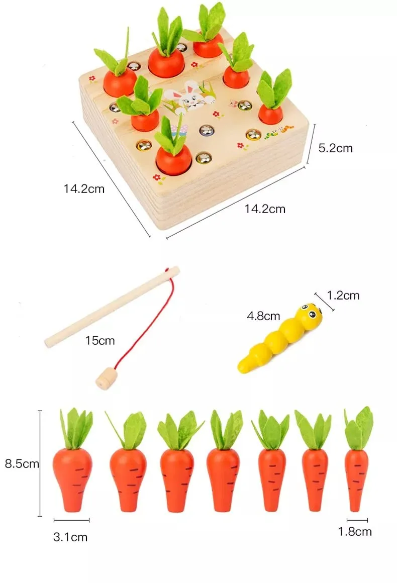 Pull Out Raddish Magnetic Insect Catching Game for Kids