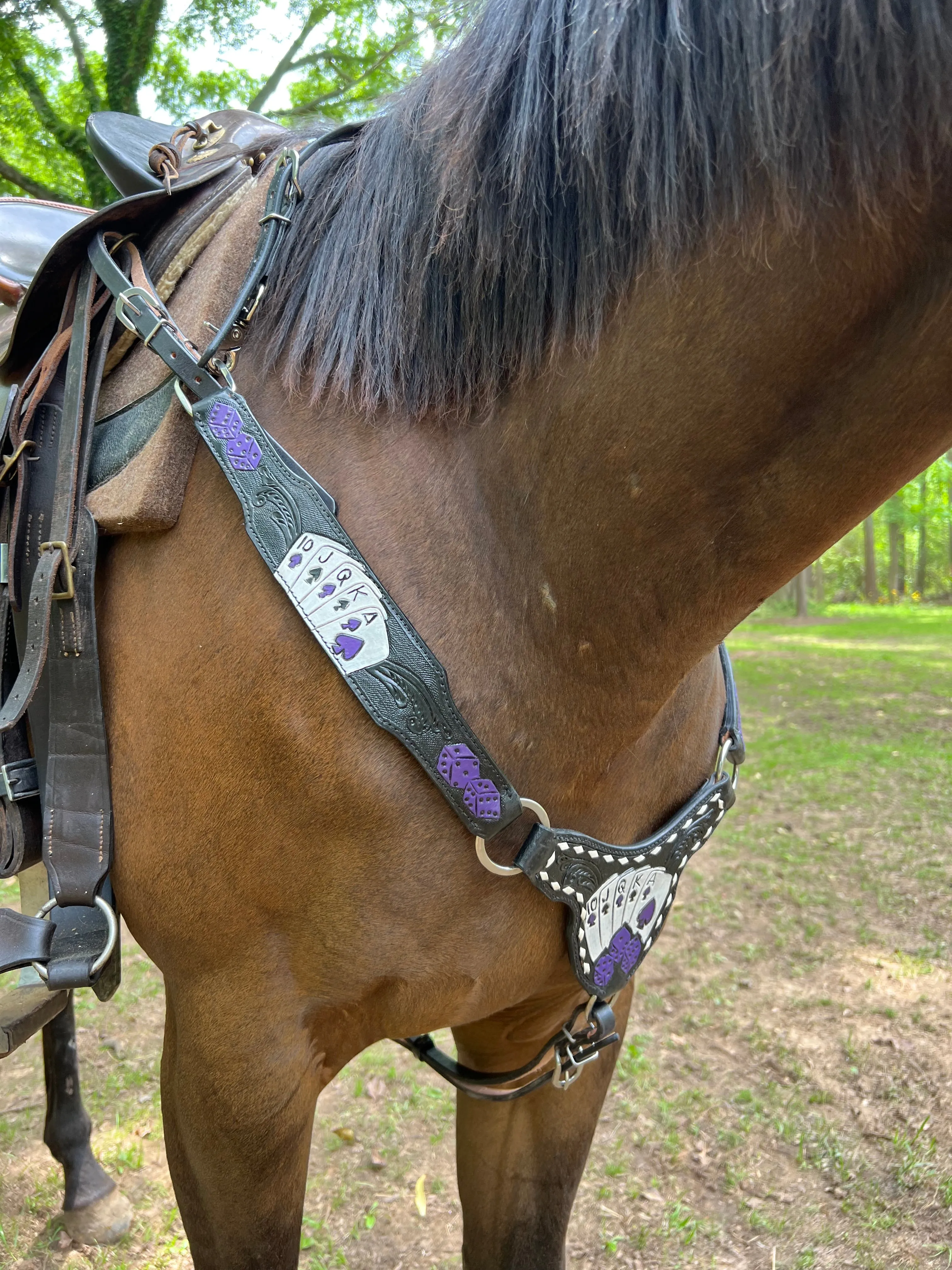 Purple card gambler / poker tack set with Bronc halter and wither strap