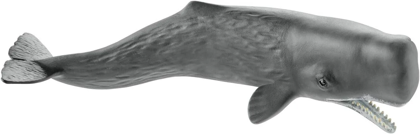 Schleich Wild Life Ocean Animal Toy for Boys and Girls Ages 3 , Sperm Whale