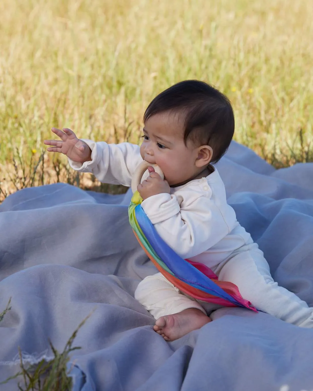 Silk and Wood Teether