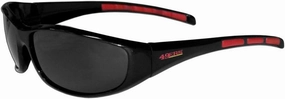 Siskiyou Men's Sunglasses