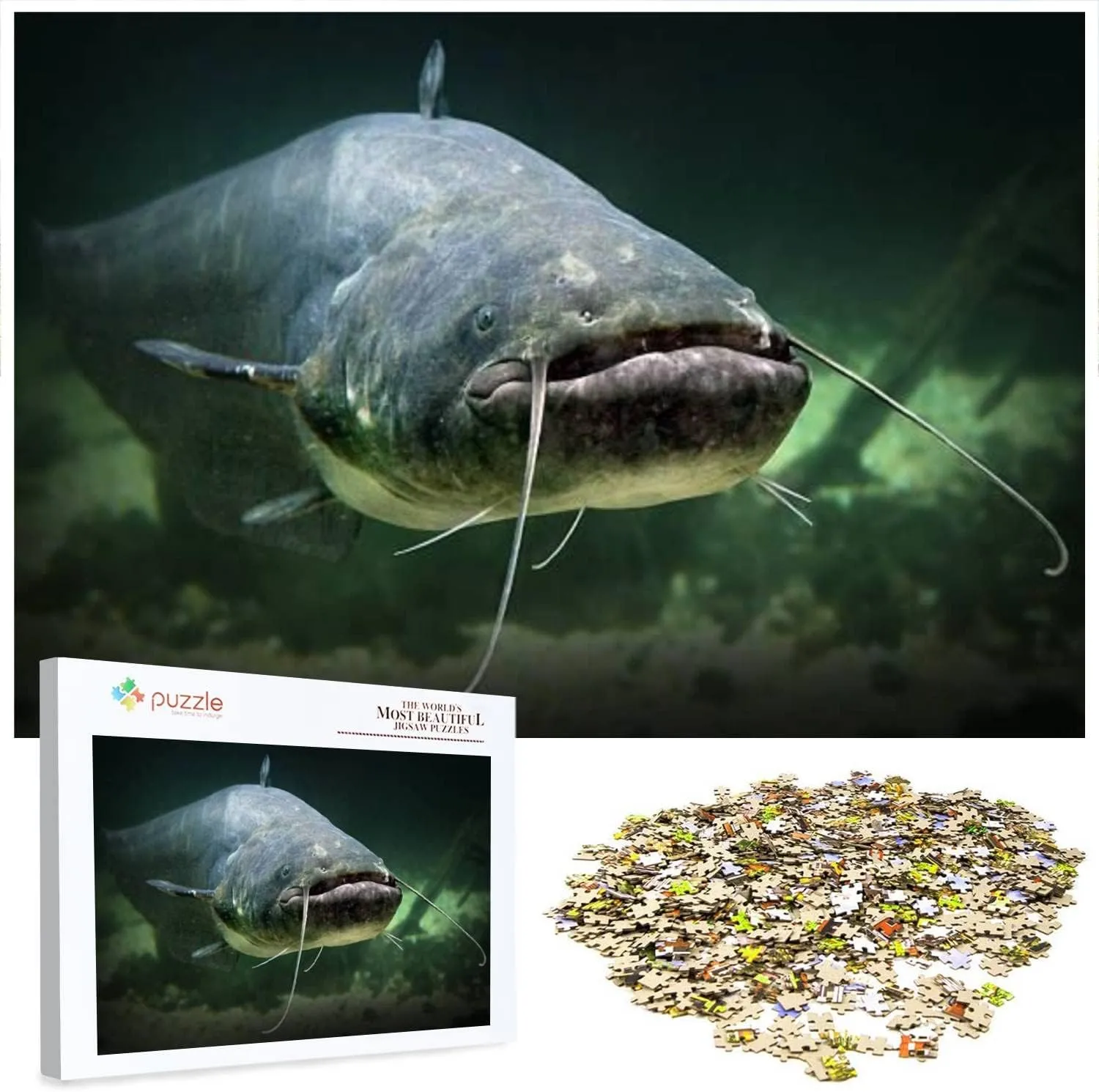 The Catfish Silurus Glanis 1000 Piece Jigsaw Puzzle Game - Colorful Large Puzzles Artwork for Adults Teens Puzzle Game Toy Gift
