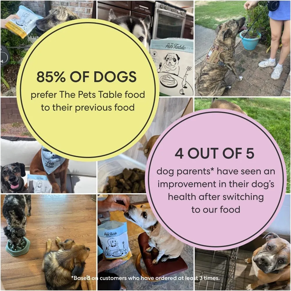 The Pets Table Beef & Berries Grain-Free Air Dried Dog Food, 48 Ounce Bag