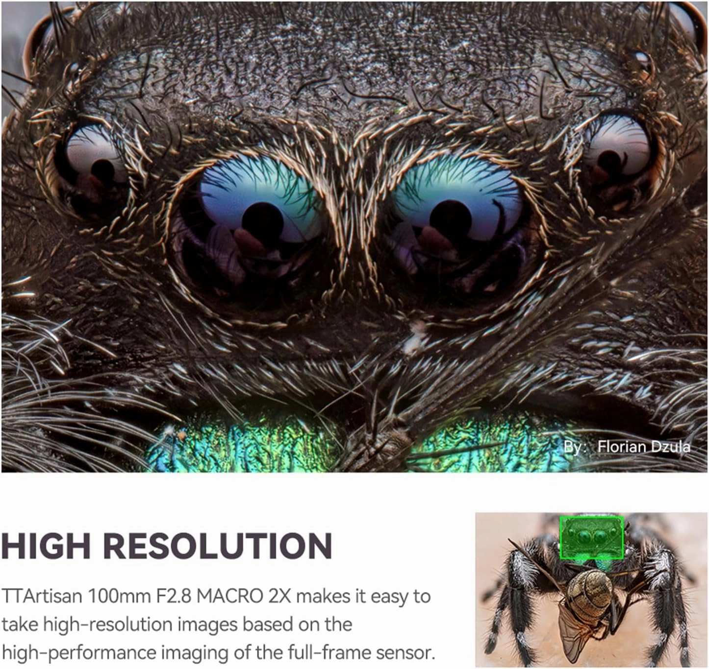 TTArtisan 100mm f/2.8 Macro 2X for Z Mount, Full Frame Manual Focus Mirrorless Camera Macro Photography Lenses Z5 Z6 Z7 Z6II Z6III Z7II ZFC Z30 Z50 Z50II Z9 Z8 ZF