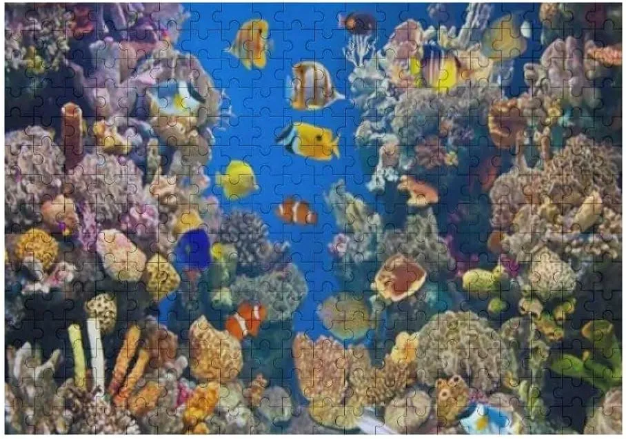 ZHONGJI Jigsaw Puzzle Different Colorful Fishes Blue Educational Intellectual Decompressing Fun Game Artwork Fit Together Perfectly Adults Teens Kids 300PCS