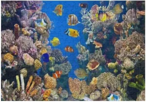 ZHONGJI Jigsaw Puzzle Different Colorful Fishes Blue Educational Intellectual Decompressing Fun Game Artwork Fit Together Perfectly Adults Teens Kids 300PCS